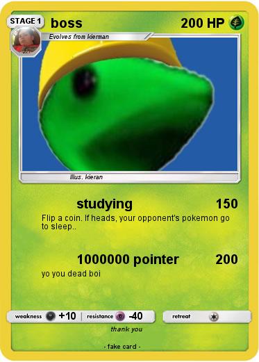 Pokemon boss
