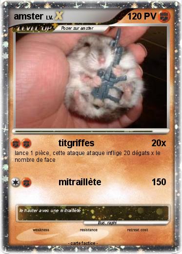 Pokemon amster