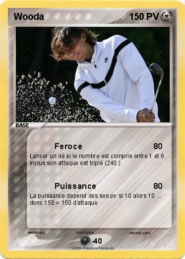 Pokemon Wooda