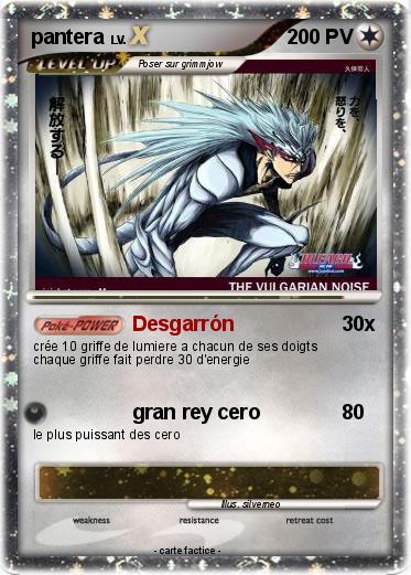 Pokemon pantera