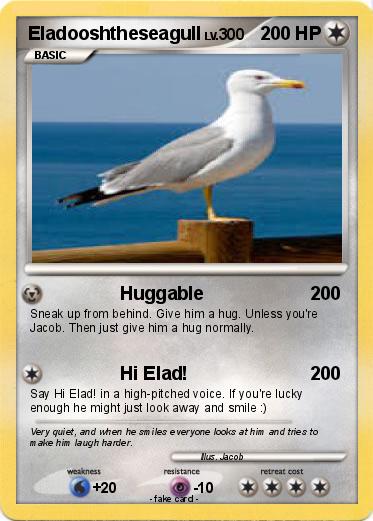Pokemon Eladooshtheseagull