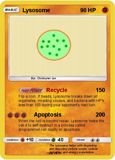 Pokemon Lysosome