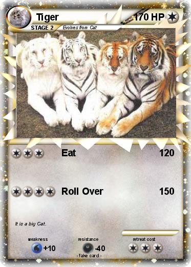 Pokemon Tiger