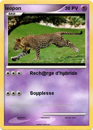 Pokemon leopon