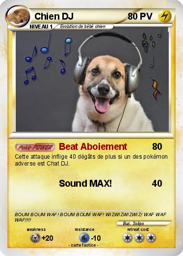 Pokemon Chien DJ
