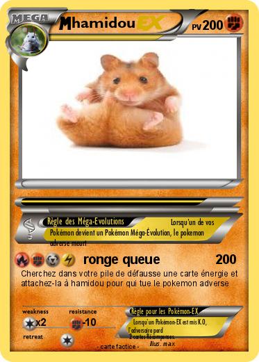 Pokemon hamidou
