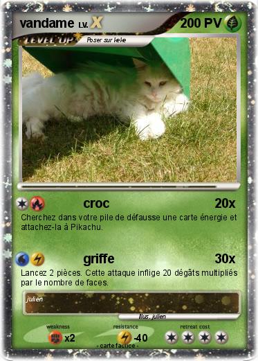 Pokemon vandame