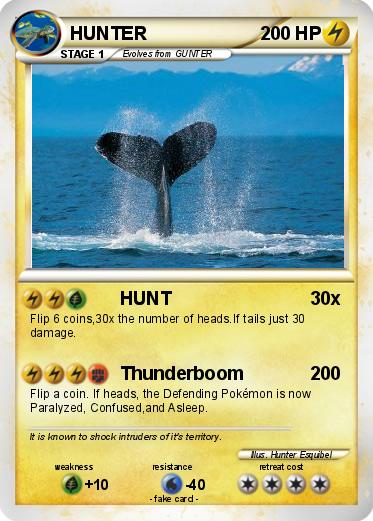 Pokemon HUNTER