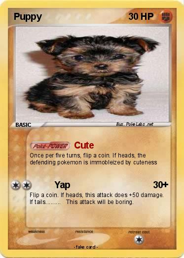 Pokemon Puppy