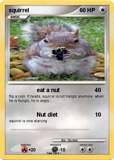 Pokemon squirrel