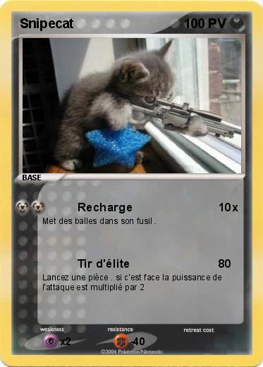 Pokemon Snipecat