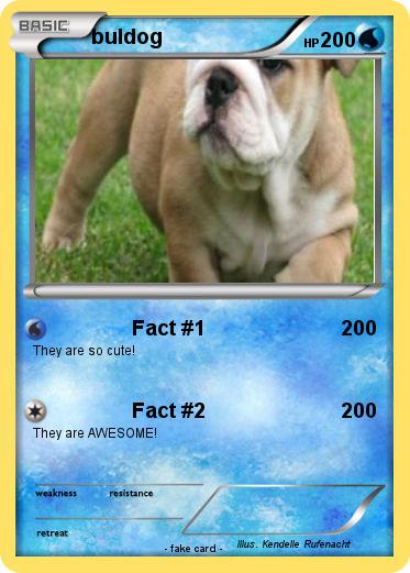 Pokemon buldog