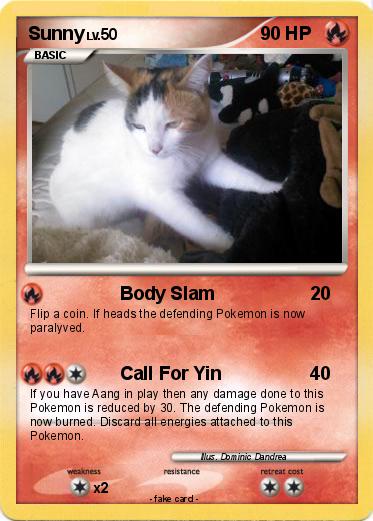 Pokemon Sunny