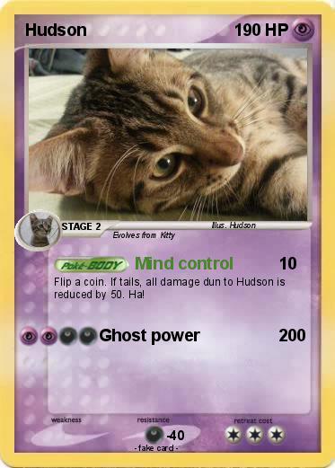 Pokemon Hudson