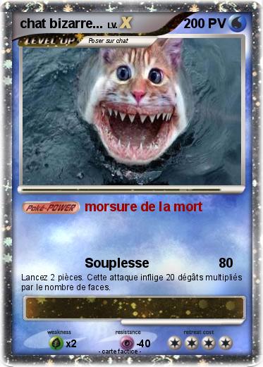 Pokemon chat bizarre...