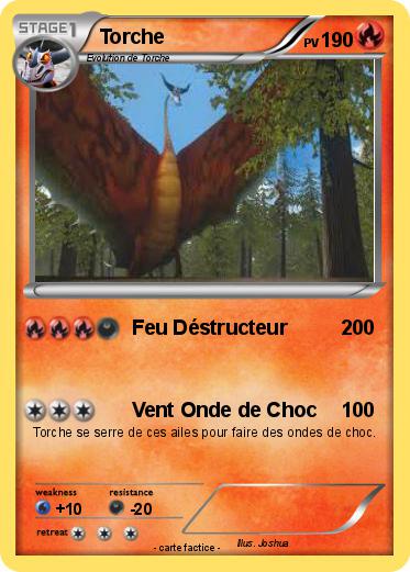 Pokemon Torche
