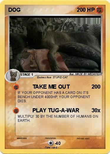 Pokemon DOG