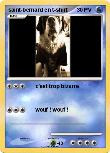 Pokemon saint-bernard en t-shirt