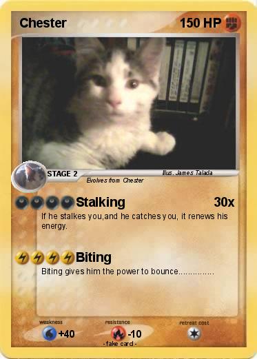 Pokemon Chester