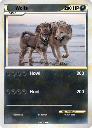 Pokemon Wolfs