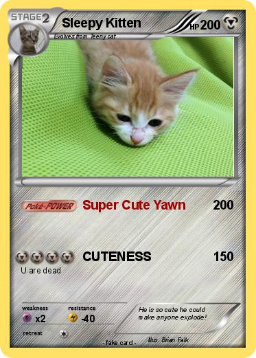 Pokemon Sleepy Kitten