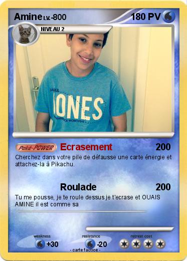 Pokemon Amine