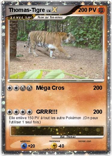 Pokemon Thomas-Tigre