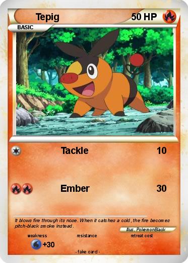 Pokemon Tepig