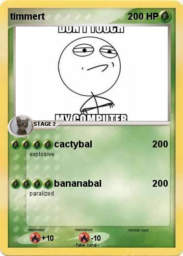Pokemon timmert