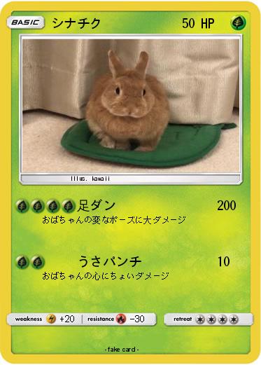 Pokemon シナチク