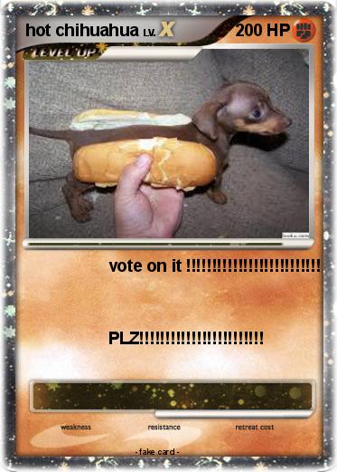 Pokemon hot chihuahua