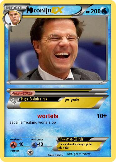 Pokemon konijn