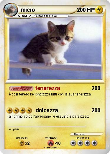 Pokemon micio