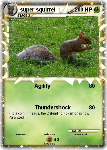 Pokemon super squirrel