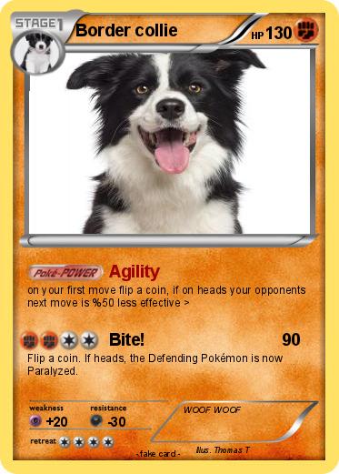 Pokemon Border collie