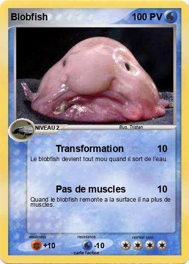 Pokemon Blobfish