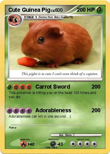Pokemon Cute Guinea Pig