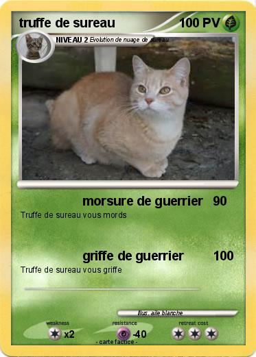 Pokemon truffe de sureau
