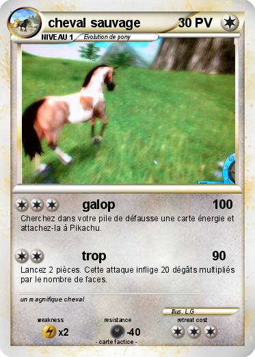 Pokemon cheval sauvage