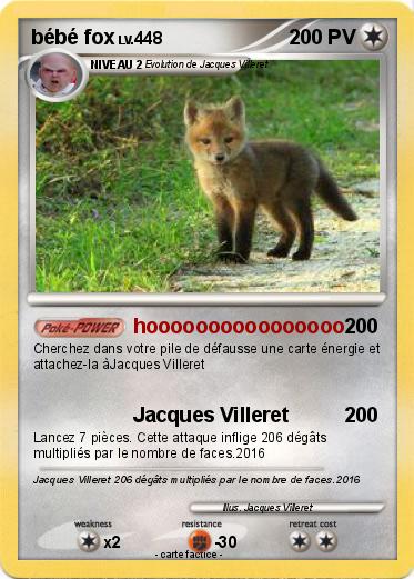 Pokemon bébé fox