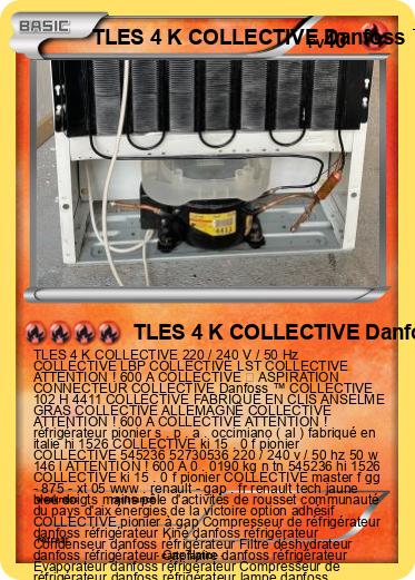 Pokemon TLES 4 K COLLECTIVE Danfoss ™