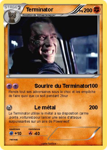 Pokemon Terminator