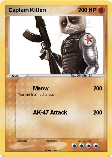 Pokemon Captain Kitten