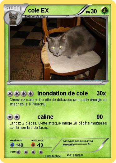 Pokemon cole EX