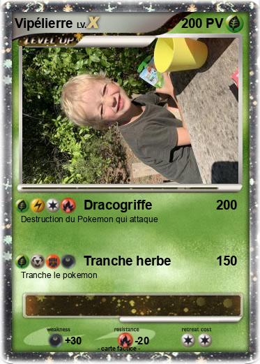 Pokemon Vipélierre