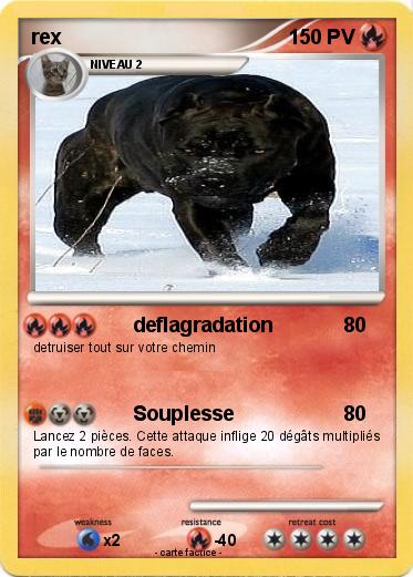 Pokemon rex