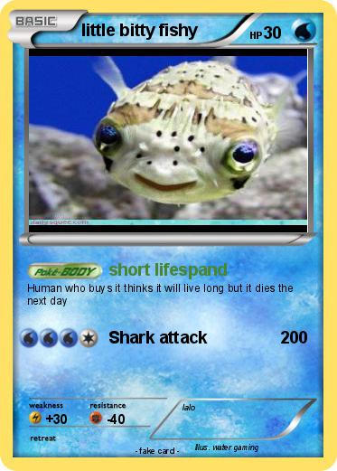 Pokemon little bitty fishy