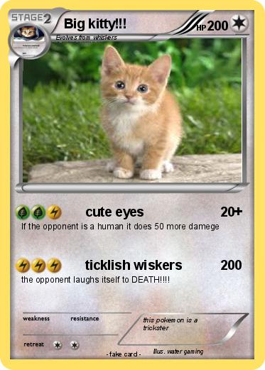 Pokemon Big kitty!!!