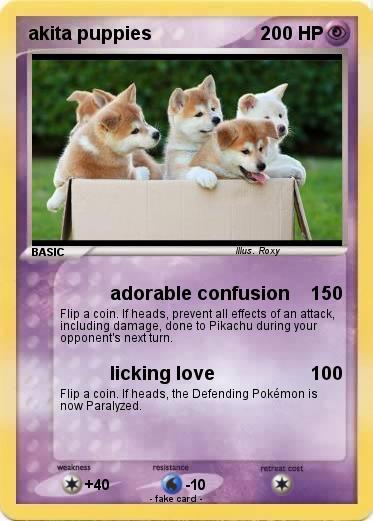 Pokemon akita puppies