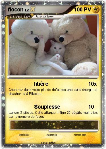 Pokemon flocon